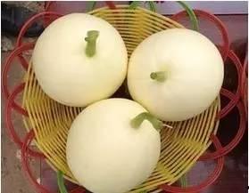 小白瓜怎么吃窍门,解锁美味新境界 第2张 小白瓜怎么吃窍门,解锁美味新境界 第2张